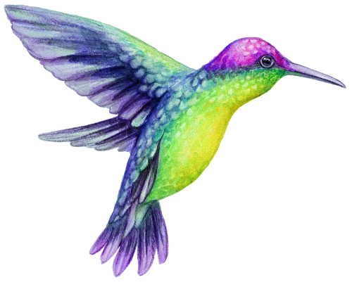 (s274-I) Hummingbird