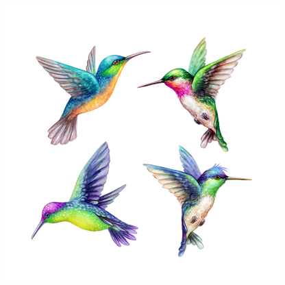 (s274-G2) Set of 4 Watercolor Tropical Hummingbirds hummers