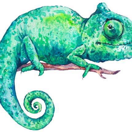 (s277-C) Chameleon