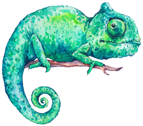 (s277-C) Chameleon