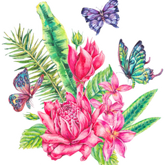 Collection image for: (s274/s277)