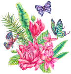 (277-01) Tropical Flowers Butterflies
