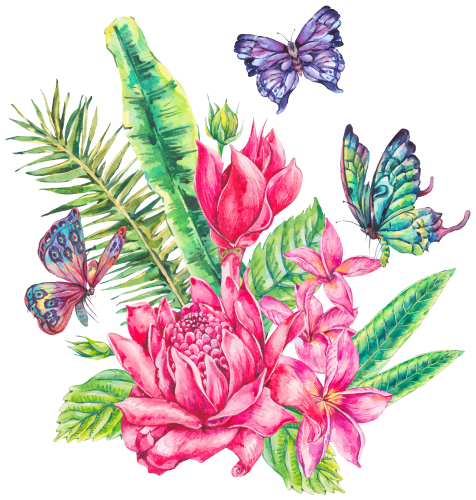 (s277-E) Tropical Flowers Butterflies