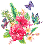 (277-01) Tropical Flowers Butterflies