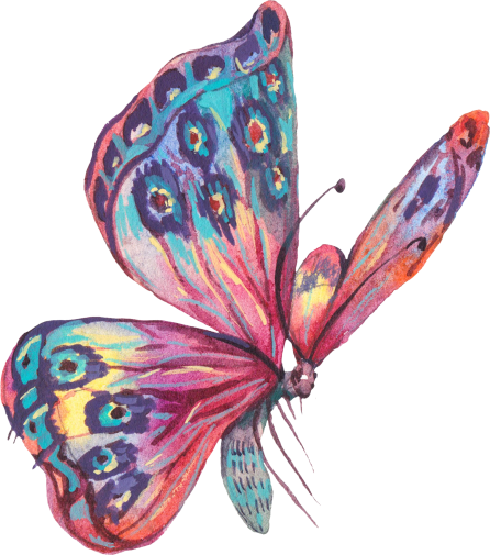 (s277-G) Pink Blue Butterfly