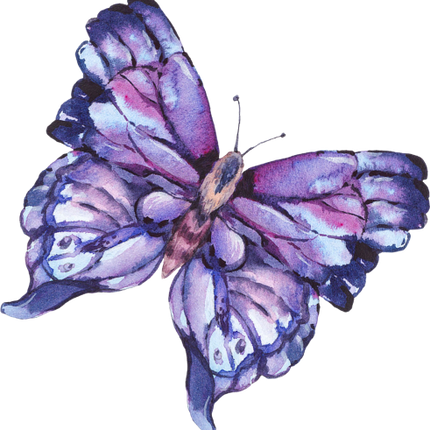 (s277-H) Blue Butterfly