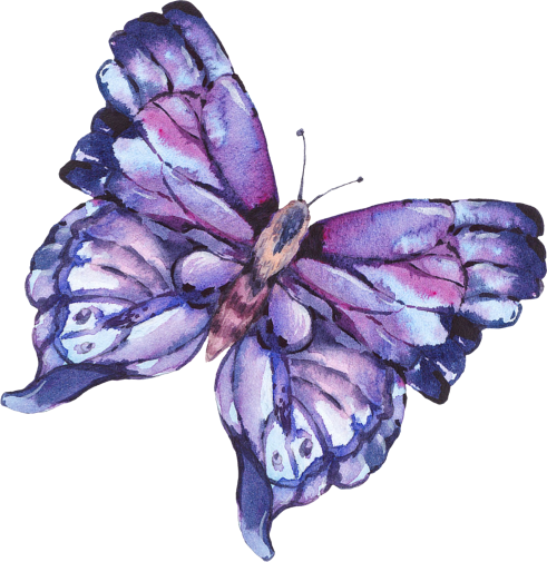 (s277-H) Blue Butterfly