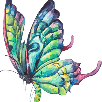 (s277-I) Green Butterfly