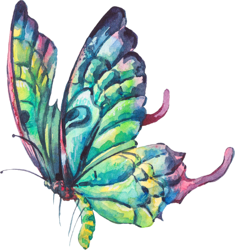 (s277-I) Green Butterfly