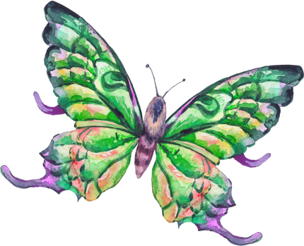(s277-J) Green Butterfly