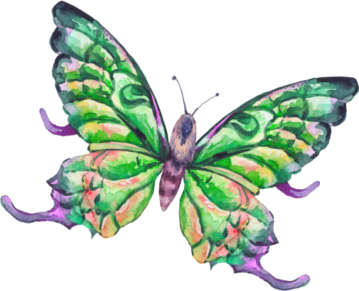 (s277-J) Green Butterfly