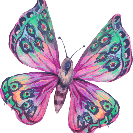 (s277-K) Pink Green Butterfly