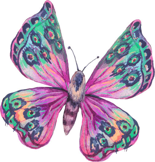 (s277-K) Pink Green Butterfly