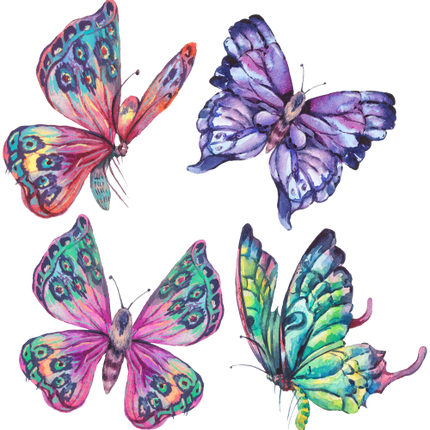 (s277-G1) Set of 4 Watercolor Butterflies