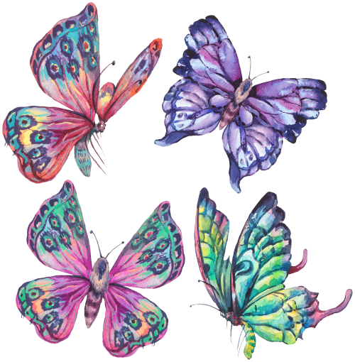 (s277-G1) Set of 4 Watercolor Butterflies
