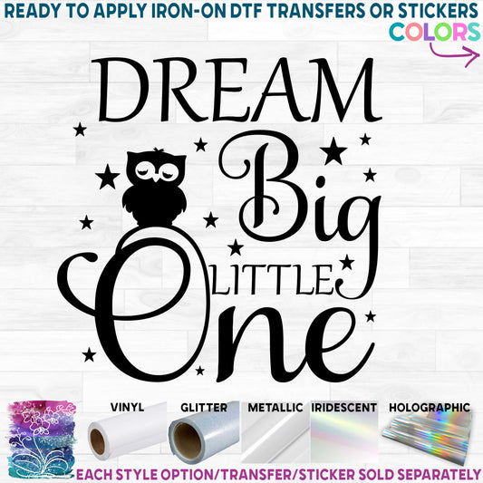 (s027-B) Dream Big Little One Owl