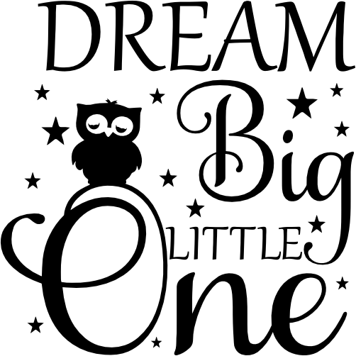 (s027-B) Dream Big Little One Owl