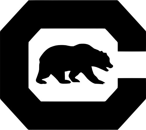 (s281-10C) C Bear