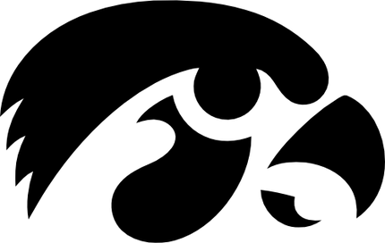 (s281-11G) Hawk