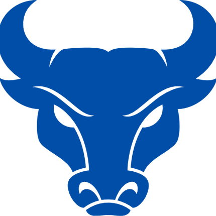 (s281-17C) Bull Mascot