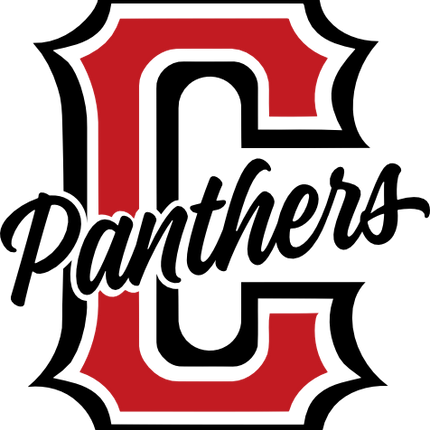 (s281-19B) C Panthers