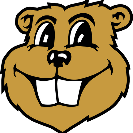 (s281-22E) Gopher Mascot