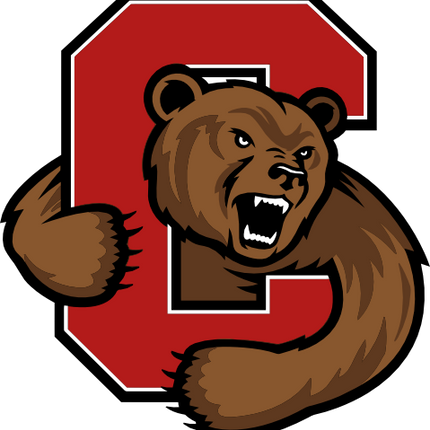 (s281-28B) C Bears