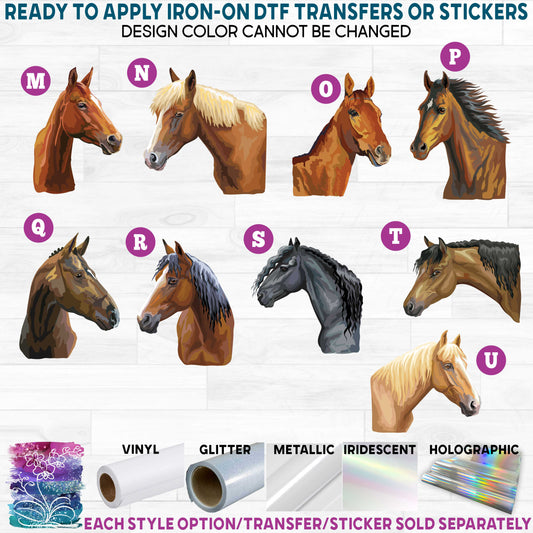 (s287) Full Color Horse Horses b Printed Heat Transfer or Sticker