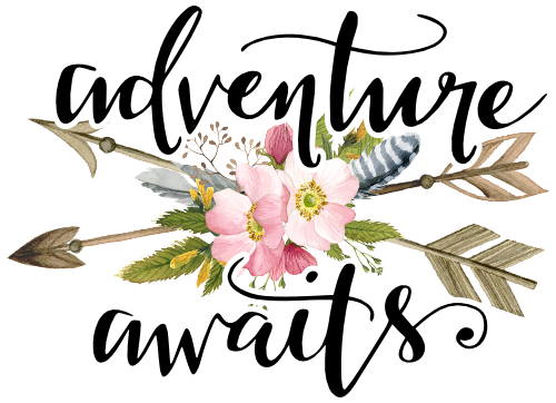 (002-3) Adventure Awaits Wild Rose Deer Arrow Watercolor