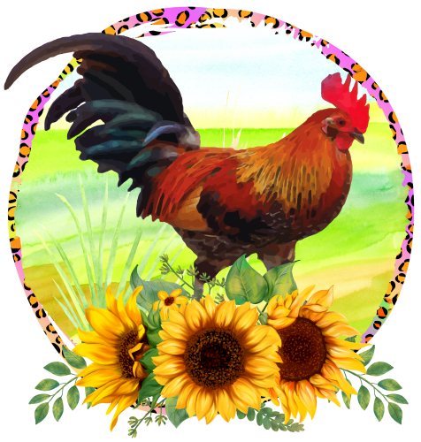 (s003-1-2A) Chicken Rooster Sunflowers