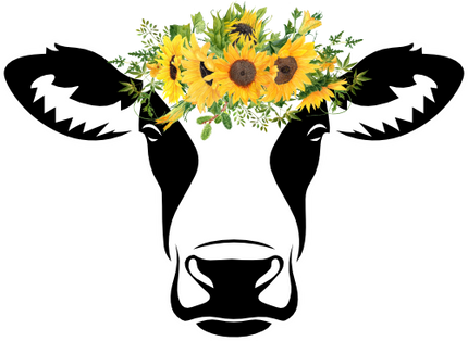 (s003-02-1W) Black or Brown Cow Sunflowers