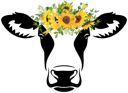 (s003-02-1W) Black or Brown Cow Sunflowers