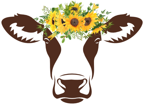 (s003-02-1W) Black or Brown Cow Sunflowers