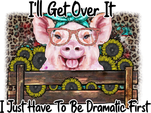 (s003-17H) I'll Get Over It I Just Have to Be Dramatic First