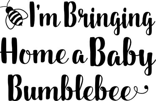 (s301-2) I'm Bringing Home a Baby Bumblebee