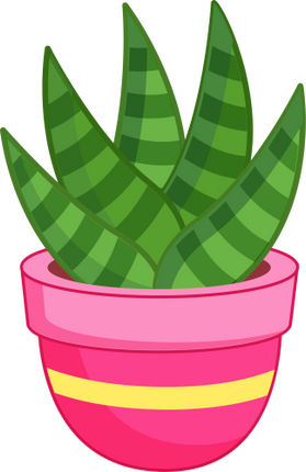 (304-01) Cactus Succulents
