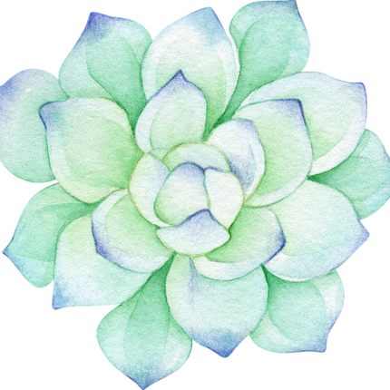 (304-01) Watercolor Potted Cactus Succulents