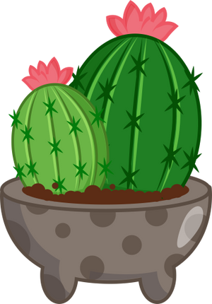 (304-01) Cactus Succulents