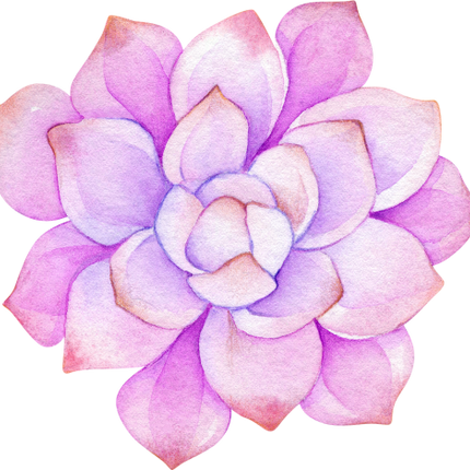 (304-01) Watercolor Potted Cactus Succulents