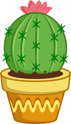 (304-01) Cactus Succulents