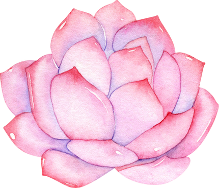 (304-01) Watercolor Potted Cactus Succulents