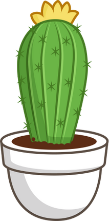 (304-01) Cactus Succulents