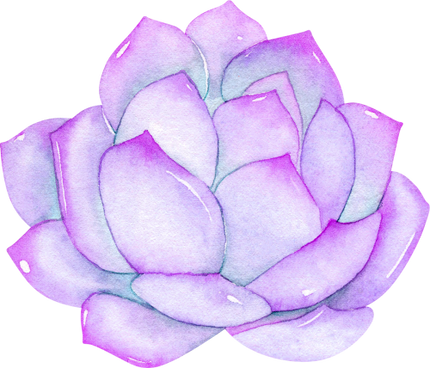 (304-01) Watercolor Potted Cactus Succulents