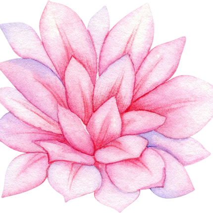 (304-01) Watercolor Potted Cactus Succulents