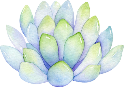 (304-01) Watercolor Potted Cactus Succulents