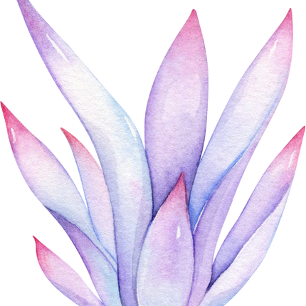 (304-01) Watercolor Potted Cactus Succulents