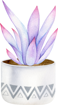 (304-01) Watercolor Potted Cactus Succulents