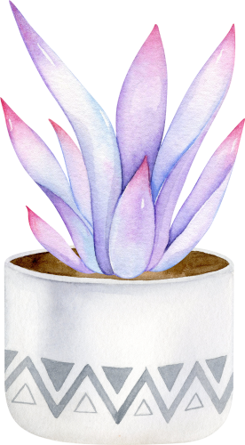(304-01) Watercolor Potted Cactus Succulents