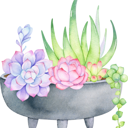 (304-01) Watercolor Potted Cactus Succulents