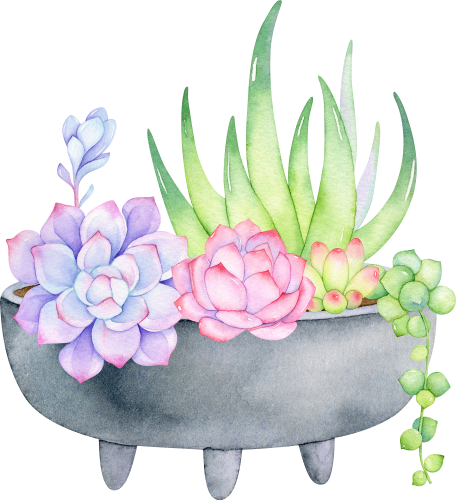 (304-01) Watercolor Potted Cactus Succulents